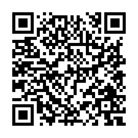 QR code for 61096