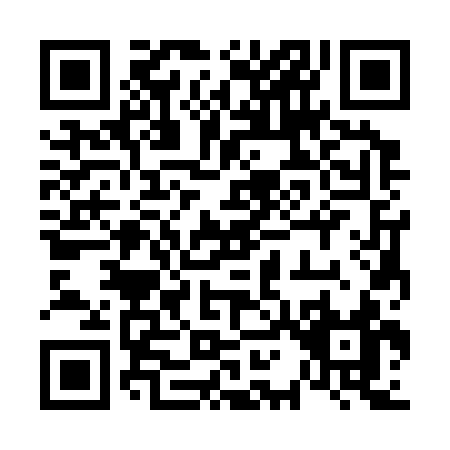 QR code for 61333