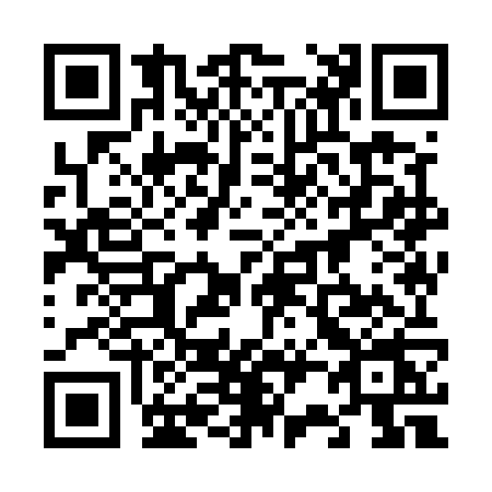 QR code for 6295