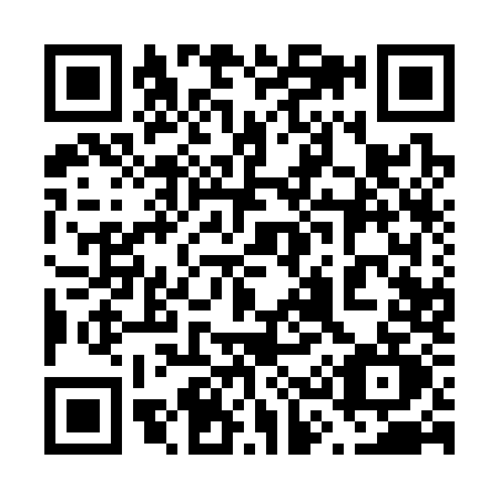 QR code for 6313