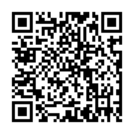 QR code for 63293