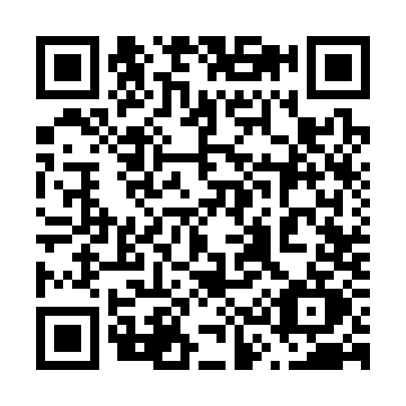 QR code for 6333
