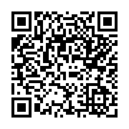 QR code for 63335