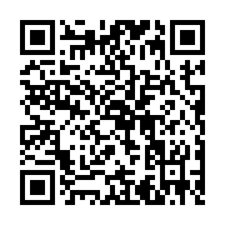 QR code for 63413