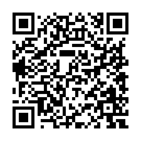 QR code for 63491