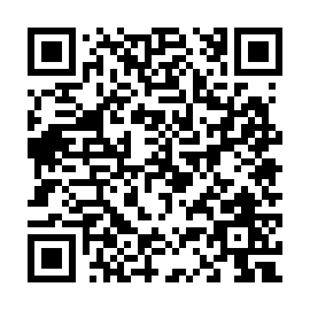 QR code for 63527