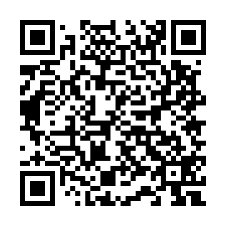 QR code for plate 635-519