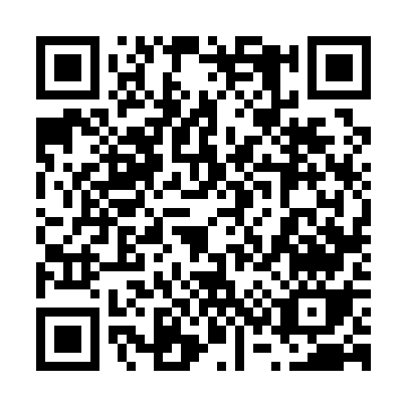 QR code for 63617