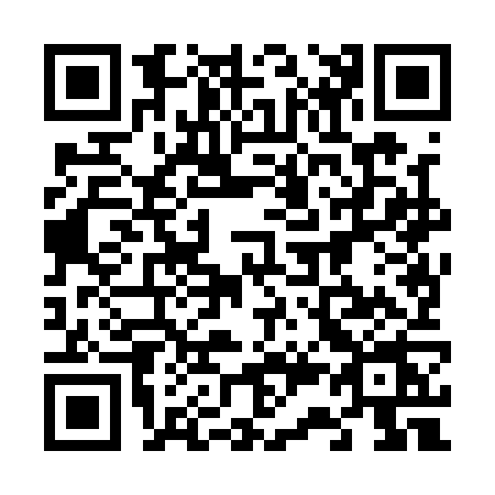QR code for 6381