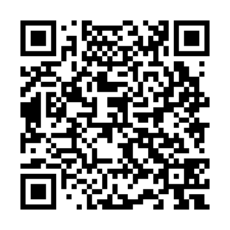QR code for plate 638-338