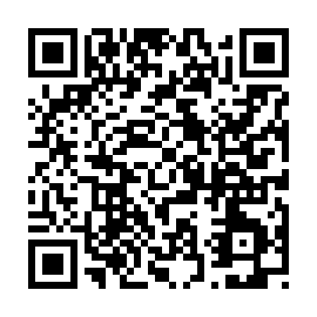 QR code for 63861