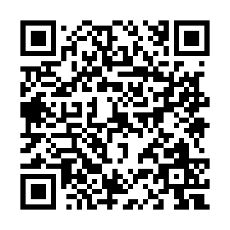 QR code for 63913