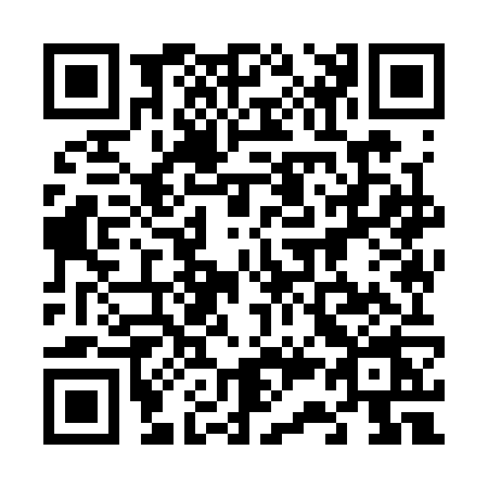 QR code for 6393