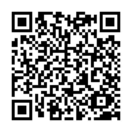 QR code for 6397
