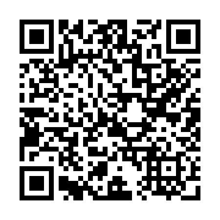 QR code for 641-338