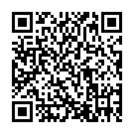 QR code for 64541