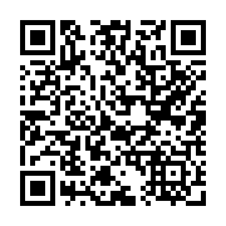 QR code for plate 647-303