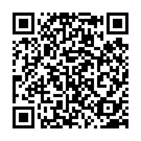 QR code for 647638