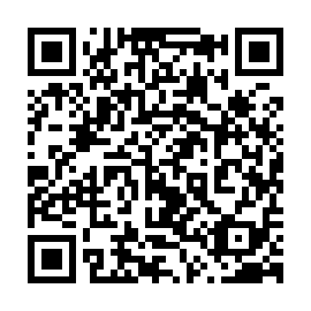 QR code for plate 649-919