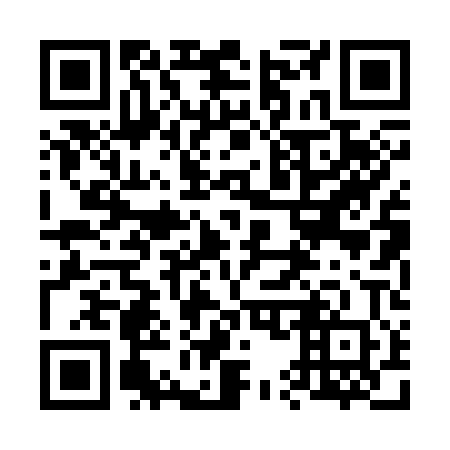 QR code for plate 650-300