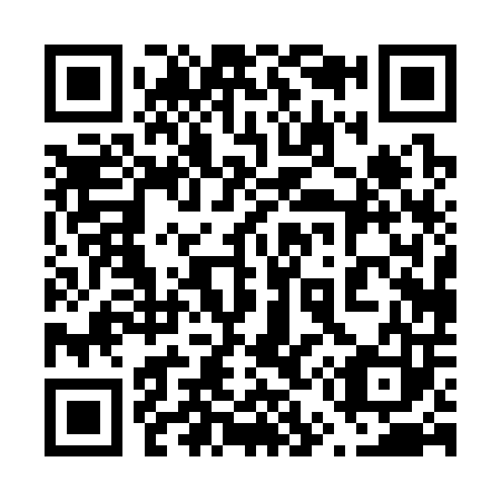QR code for plate 650-303