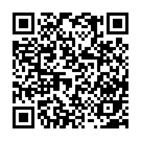 QR code for 65041
