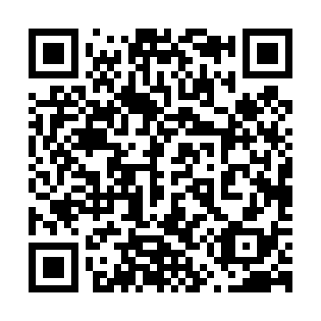 QR code for 650438
