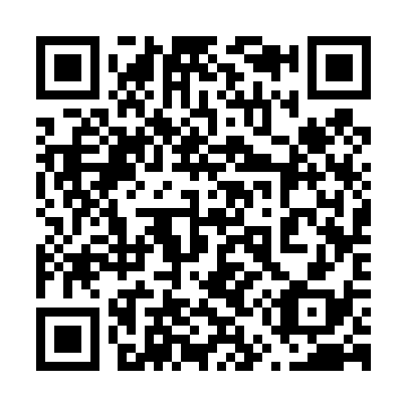 QR code for 653438