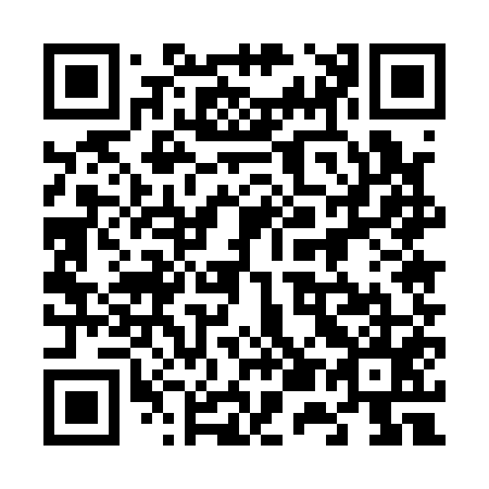 QR code for 655155
