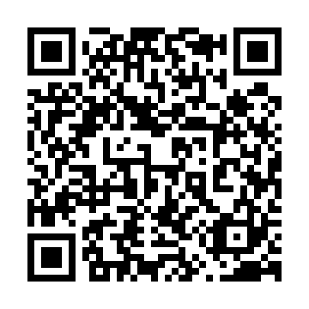 QR code for plate 655-523