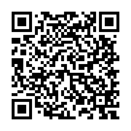 QR code for plate 655-599
