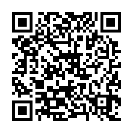 QR code for 656-333