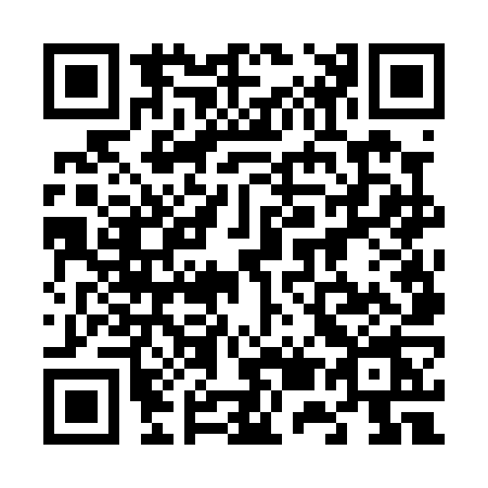 QR code for 6560