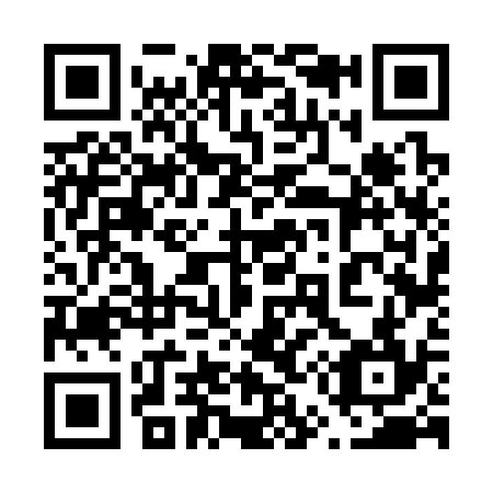 QR code for plate 656-334