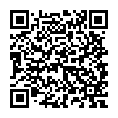 QR code for plate 656-593