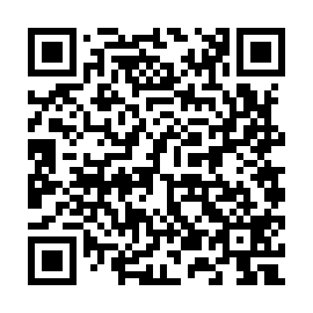 QR code for plate 656-919