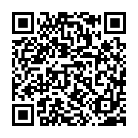 QR code for plate 658-313