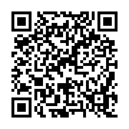 QR code for 6593