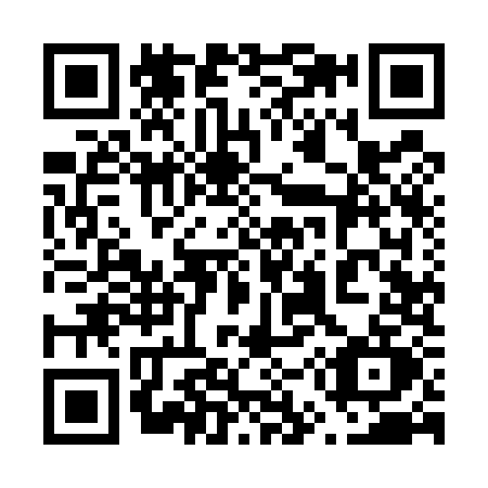 QR code for 6595