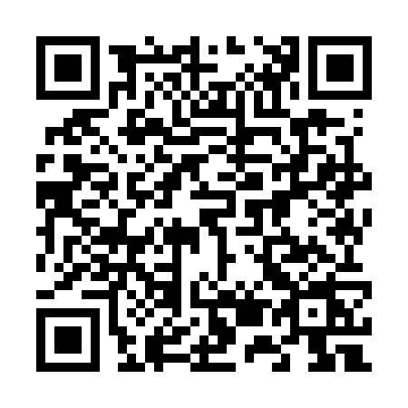 QR code for 6597