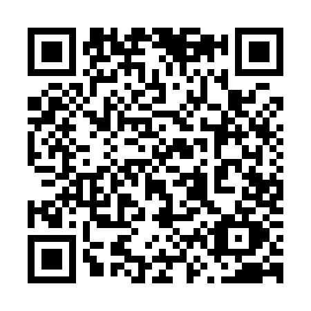 QR code for 6619