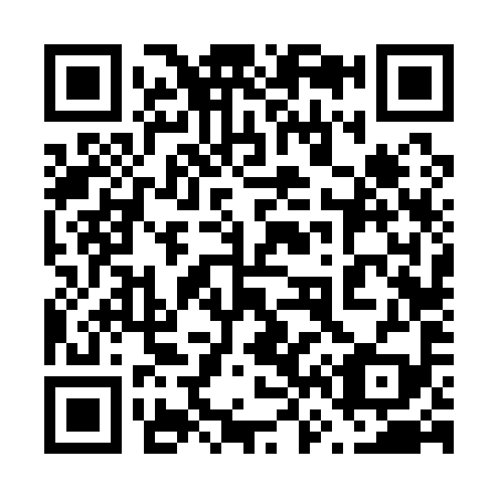QR code for 666199