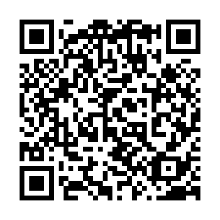 QR code for plate 667-838