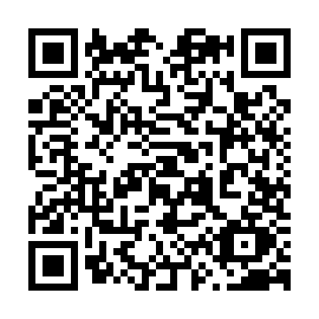 QR code for 6691