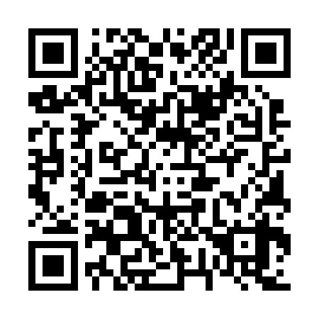 QR code for plate 675-238