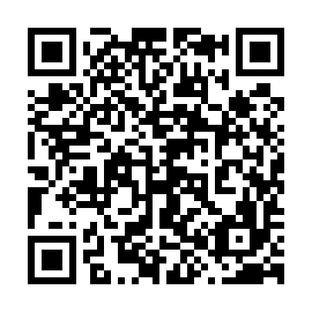 QR code for plate 689-596