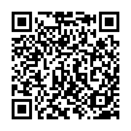 QR code for 691381