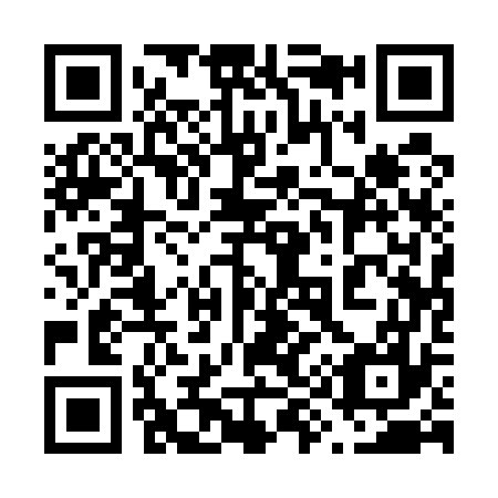 QR code for plate 691-577