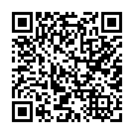 QR code for plate 695-990