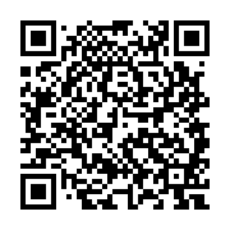 QR code for plate 696-180